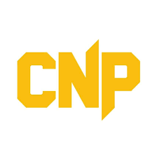 CNP Professional